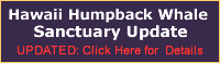 Hawaii Humpback Whale Sanctuary Update - Click Here for More Details