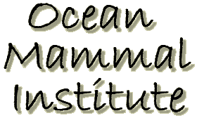 Ocean Mammal Institute